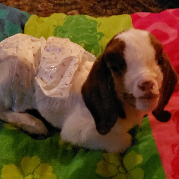 Meet your Posher, Mandi J - Picture 8 of 8